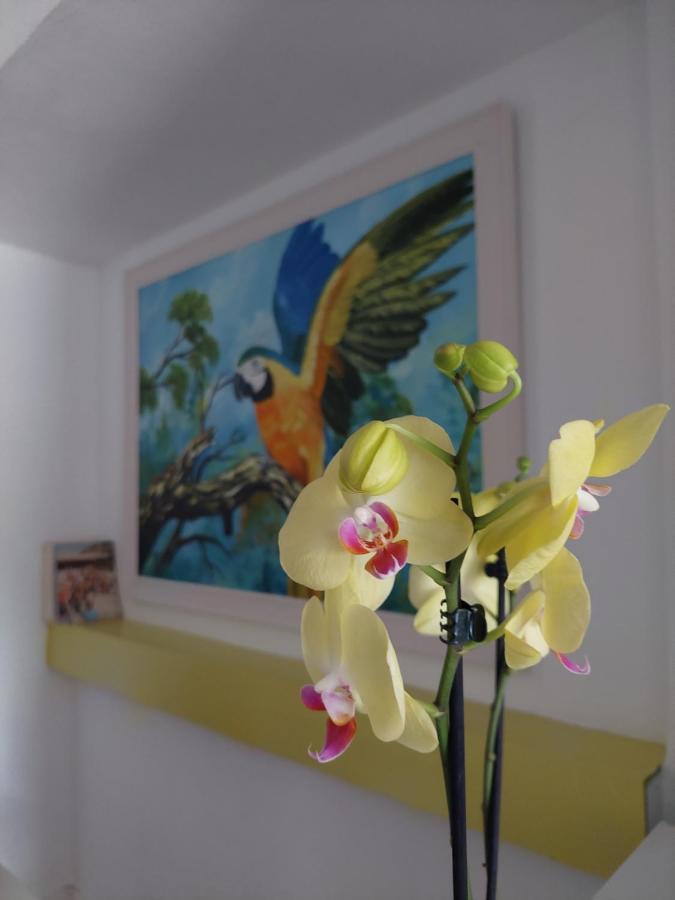 Lisbon'S Best At Campo Pequeno Hotel Bagian luar foto